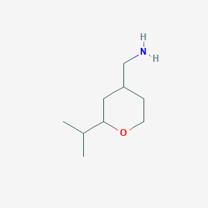 molecular formula C9H19NO B13027698 (2-Isopropyltetrahydro-2H-pyran-4-yl)methanamine 