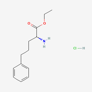 molecular formula C13H20ClNO2 B13027811 Ethyl (R)-2-amino-5-phenylpentanoate HCl 