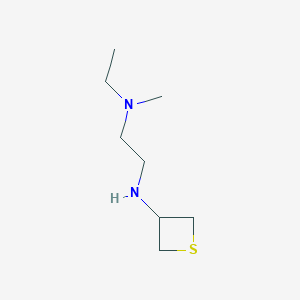 molecular formula C8H18N2S B13027928 N1-Ethyl-N1-methyl-N2-(thietan-3-yl)ethane-1,2-diamine 