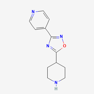 molecular formula C12H14N4O B1302838 5-(Piperidin-4-yl)-3-(pyridin-4-yl)-1,2,4-oxadiazole CAS No. 276237-03-7