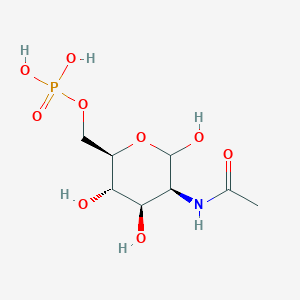 molecular formula C8H16NO9P B13028382 N-Acetyl-D-mannosamine 6-phosphate 