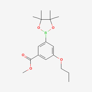 molecular formula C17H25BO5 B13029095 Methyl 3-propoxy-5-(tetramethyl-1,3,2-dioxaborolan-2-yl)benzoate 