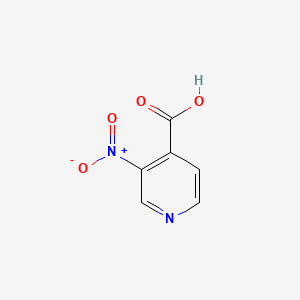 molecular formula C6H4N2O4 B1302953 3-硝基异尼古酸 CAS No. 59290-82-3