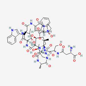 (2S)-2-amino-4-[[(2S)-1-[[(3E,6R,9S,12S,13S,21S,24S,27S,28S,31R,32S)-13,32-dihydroxy-24-[(1S)-1-hydroxyethyl]-9-[(1S)-1-hydroxy-2-methylpropyl]-6-[1-(1H-indol-3-yl)ethyl]-3-(1H-indol-3-ylmethylidene)-21,28-dimethyl-2,5,8,11,17,20,23,26,30-nonaoxo-29-oxa-1,4,7,10,16,19,22,25-octazatricyclo[29.3.0.012,16]tetratriacontan-27-yl]amino]-3-hydroxy-1-oxopropan-2-yl]amino]-4-oxobutanoic acid