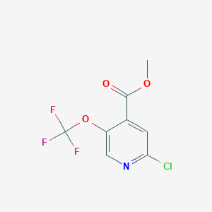 molecular formula C8H5ClF3NO3 B13030395 Methyl2-chloro-5-(trifluoromethoxy)isonicotinate 