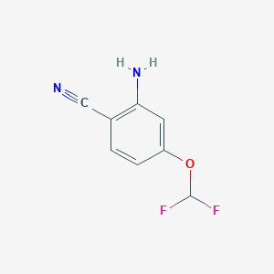 molecular formula C8H6F2N2O B13030778 2-Amino-4-(difluoromethoxy)benzonitrile 