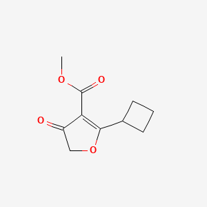 molecular formula C10H12O4 B13031365 Methyl 2-cyclobutyl-4-oxo-4,5-dihydrofuran-3-carboxylate 