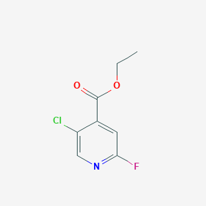 molecular formula C8H7ClFNO2 B13032885 Ethyl5-chloro-2-fluoroisonicotinate 