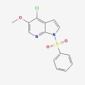 molecular formula C14H11ClN2O3S B13033049 4-chloro-5-methoxy-1-(phenylsulfonyl)-1H-pyrrolo[2,3-b]pyridine 