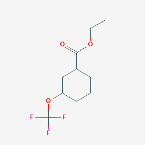 molecular formula C10H15F3O3 B13033192 Ethyl3-(trifluoromethoxy)cyclohexane-1-carboxylate 