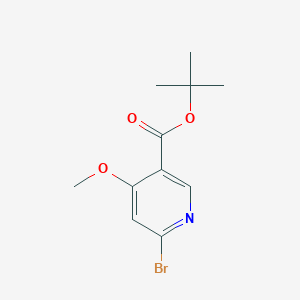 molecular formula C11H14BrNO3 B13035511 tert-Butyl 6-bromo-4-methoxynicotinate 