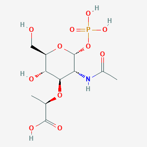 2-acetamido-3-O-[(1R)-1-carboxyethyl]-2-deoxy-1-O-phosphono-alpha-D-glucopyranose