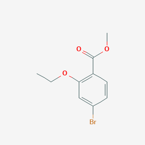 molecular formula C10H11BrO3 B13035989 Methyl 4-bromo-2-ethoxybenzoate 