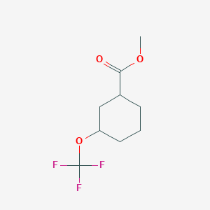 molecular formula C9H13F3O3 B13036084 Methyl3-(trifluoromethoxy)cyclohexane-1-carboxylate 