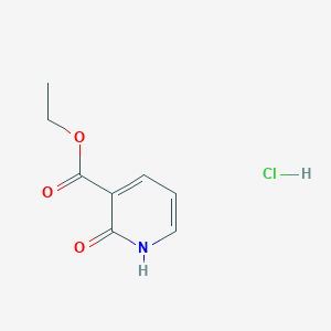 molecular formula C8H10ClNO3 B13036864 Ethyl 2-oxo-1,2-dihydropyridine-3-carboxylate hydrochloride 