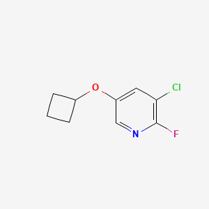 3-Chloro-5-cyclobutoxy-2-fluoropyridine