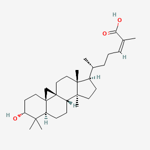 molecular formula C30H48O3 B13037477 Isoschisandrolicacid 