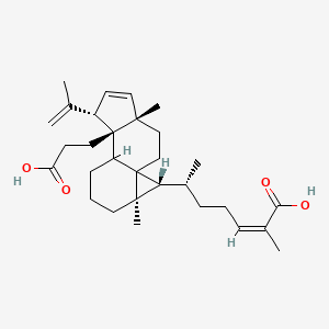 molecular formula C30H44O4 B13039315 Changnanicacid 