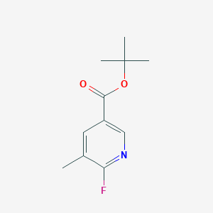 molecular formula C11H14FNO2 B13040044 tert-Butyl 6-fluoro-5-methylnicotinate CAS No. 211122-39-3