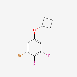 molecular formula C10H9BrF2O B13040292 1-Bromo-5-cyclobutoxy-2,3-difluorobenzene 