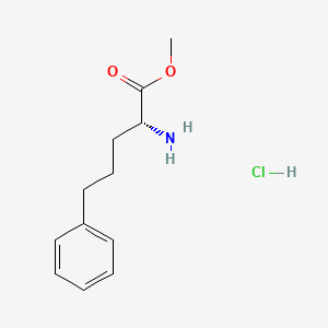 molecular formula C12H18ClNO2 B13041205 Methyl (R)-2-amino-5-phenylpentanoate HCl 