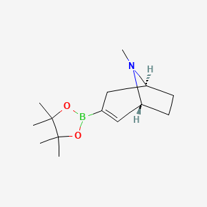 molecular formula C14H24BNO2 B13043538 8-Methyl-8-azabicyclo[3.2.1]oct-2-EN-3-YL)boronic acid pinacol ester CAS No. 2304631-78-3