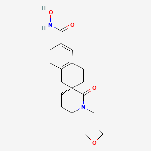 molecular formula C19H24N2O4 B13045895 (S)-N-Hydroxy-1'-(oxetan-3-ylmethyl)-2'-oxo-3,4-dihydro-1H-spiro[naphthalene-2,3'-piperidine]-6-carboxamide 