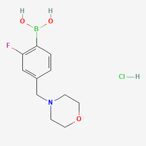 2-Fluoro-4-(morpholinomethyl)phenylboronic acid hydrochloride