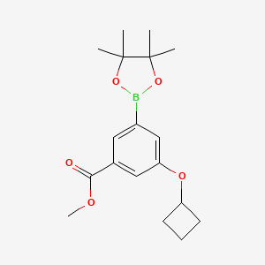 molecular formula C18H25BO5 B13046770 Methyl 3-cyclobutoxy-5-(4,4,5,5-tetramethyl-1,3,2-dioxaborolan-2-YL)benzoate 