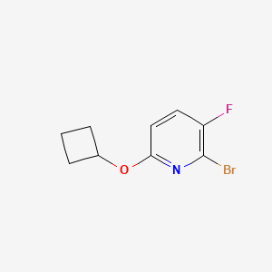 molecular formula C9H9BrFNO B13049789 2-Bromo-6-cyclobutoxy-3-fluoropyridine 