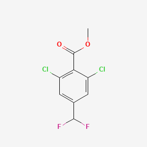 molecular formula C9H6Cl2F2O2 B13050999 Methyl 2,6-dichloro-4-(difluoromethyl)benzoate CAS No. 1807998-44-2