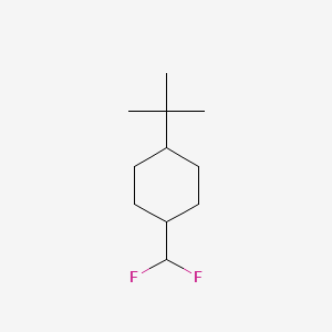 molecular formula C11H20F2 B13051118 1-(Tert-butyl)-4-(difluoromethyl)cyclohexane CAS No. 2089651-44-3