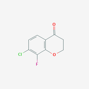 molecular formula C9H6ClFO2 B13051147 7-Chloro-8-fluorochroman-4-one 