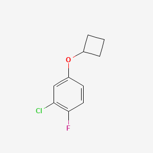 molecular formula C10H10ClFO B13051181 2-Chloro-4-cyclobutoxy-1-fluorobenzene 