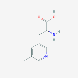 molecular formula C9H12N2O2 B13051816 (2R)-2-amino-3-(5-methylpyridin-3-yl)propanoic acid 