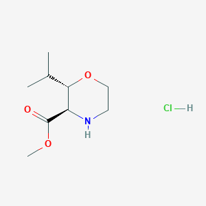 molecular formula C9H18ClNO3 B13052673 Methyl (2S,3R)-2-isopropylmorpholine-3-carboxylate hcl 