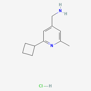 molecular formula C11H17ClN2 B13053736 (2-Cyclobutyl-6-methylpyridin-4-YL)methanamine hcl 