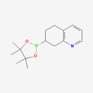 7-(4,4,5,5-Tetramethyl-1,3,2-dioxaborolan-2-YL)-5,6,7,8-tetrahydroquinoline