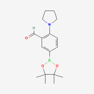 2-(Pyrrolidin-1-yl)-5-(tetramethyl-1,3,2-dioxaborolan-2-yl)benzaldehyde