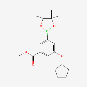 molecular formula C19H27BO5 B13055363 Methyl 3-(cyclopentyloxy)-5-(4,4,5,5-tetramethyl-1,3,2-dioxaborolan-2-YL)benzoate 