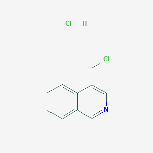 molecular formula C10H9Cl2N B13061239 4-(Chloromethyl)isoquinoline hydrochloride CAS No. 73048-61-0