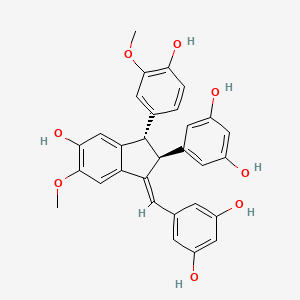 GnemontaninD