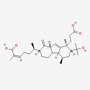 molecular formula C30H46O5 B13061997 KadcoccinicacidG 