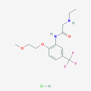 molecular formula C14H20ClF3N2O3 B13063260 2-(ethylamino)-N-[2-(2-methoxyethoxy)-5-(trifluoromethyl)phenyl]acetamide hydrochloride 