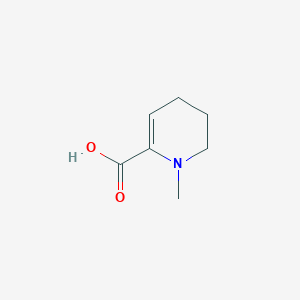 molecular formula C7H11NO2 B13063304 1-Methyl-1,4,5,6-tetrahydropyridine-2-carboxylic acid 