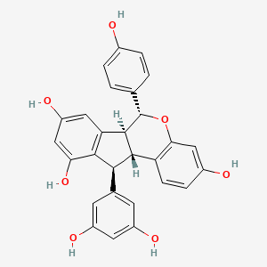 GnetuhaininS