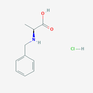 molecular formula C10H14ClNO2 B13065437 N-Benzylalaninehydrochloride 