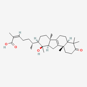 molecular formula C30H46O4 B13067310 NeokadsuranicacidC 