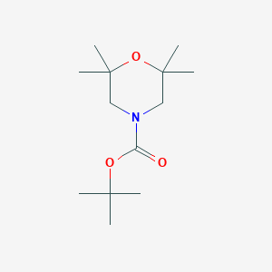 molecular formula C13H25NO3 B13067877 Tert-butyl 2,2,6,6-tetramethylmorpholine-4-carboxylate 