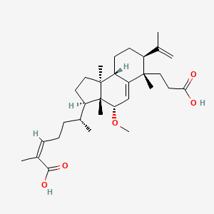 molecular formula C31H48O5 B13068549 KadcoccinicacidJ 